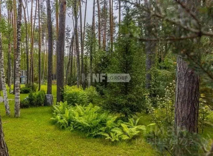 Участок в Московская область, Одинцовский городской округ, пос. ... - Фото 1