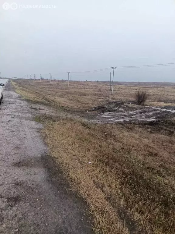 Участок в посёлок Подлесный, Мятная улица, 11 (86 м) - Фото 2