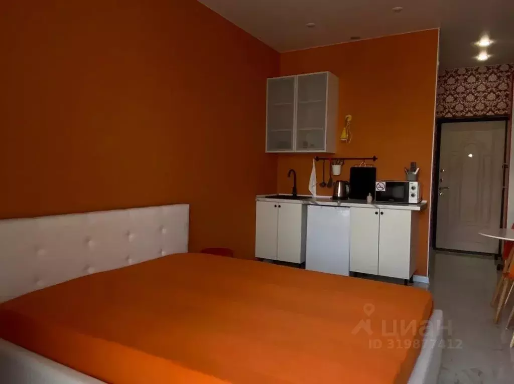 Студия Краснодарский край, Геленджик ул. Мира, 44лит4 (25.0 м) - Фото 2