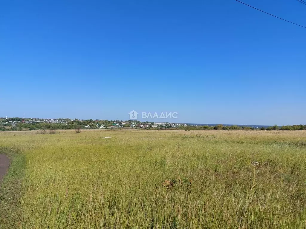 Участок в Пензенская область, с. Бессоновка проезд 2-й Ясный, 77 ... - Фото 1