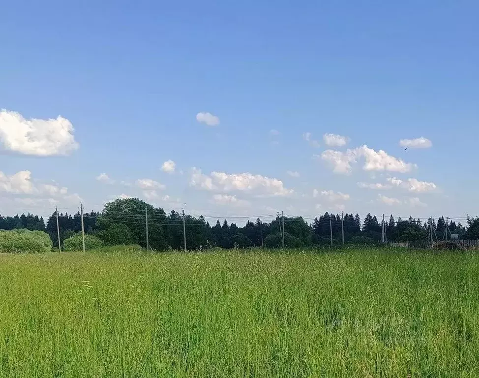 Участок в Московская область, Можайский муниципальный округ, д. ... - Фото 1