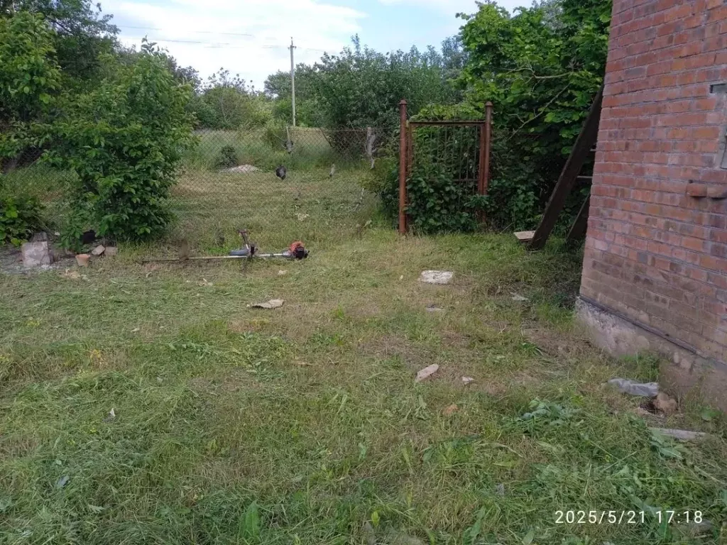 Участок в Ростовская область, Неклиновский район, Синявское с/пос, ... - Фото 2