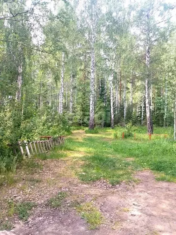 Участок в Свердловская область, Ревда (1250 м) - Фото 1