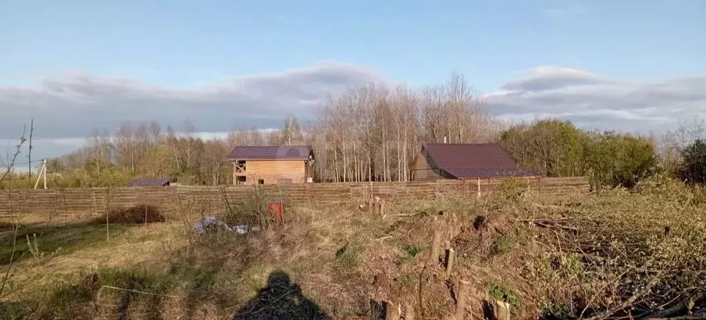 Участок в Ярославская область, Тутаевский муниципальный округ, д. ... - Фото 1