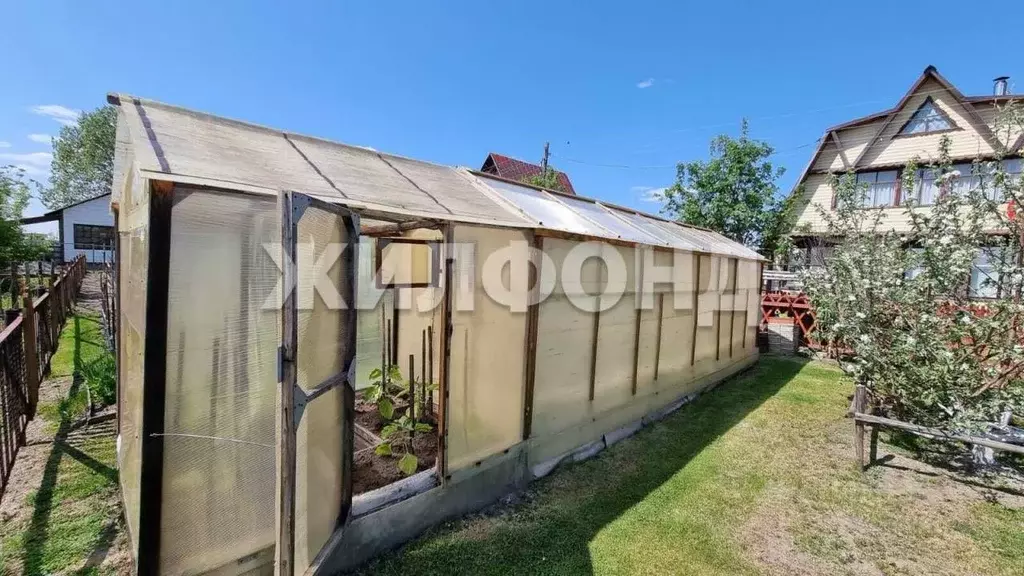 Участок в Новосибирская область, Колыванский район, Надежда СТ  (4.0 ... - Фото 2