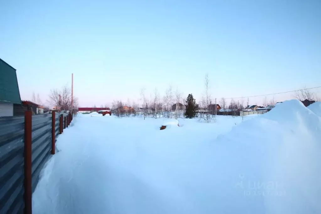 Участок в Ямало-Ненецкий АО, Новый Уренгой Простоквашино дачный ... - Фото 1