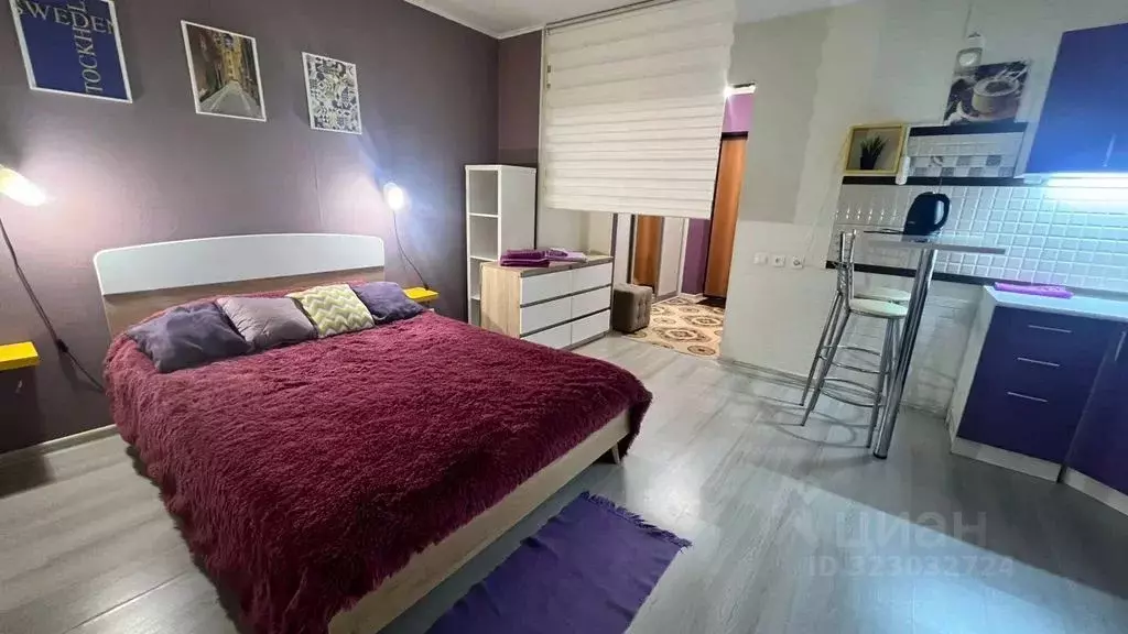 Студия Свердловская область, Екатеринбург ул. Юмашева, 6 (26.0 м) - Фото 2