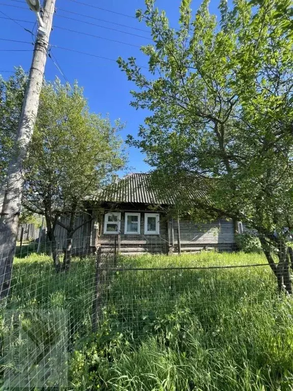 Дом в Нижегородская область, Шатковский муниципальный округ, с. ... - Фото 0