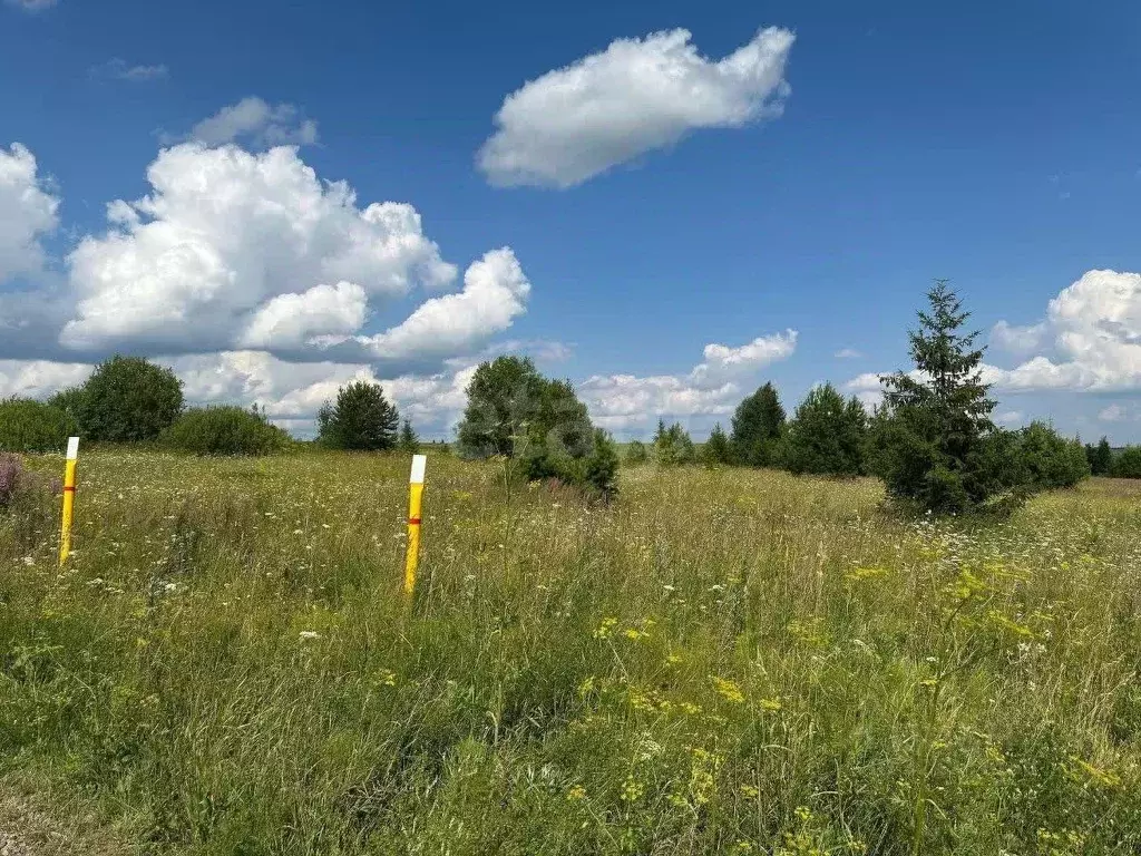 Участок в Удмуртия, Завьяловский район, д. Сепыч бул. Альпийский, 49 ... - Фото 1