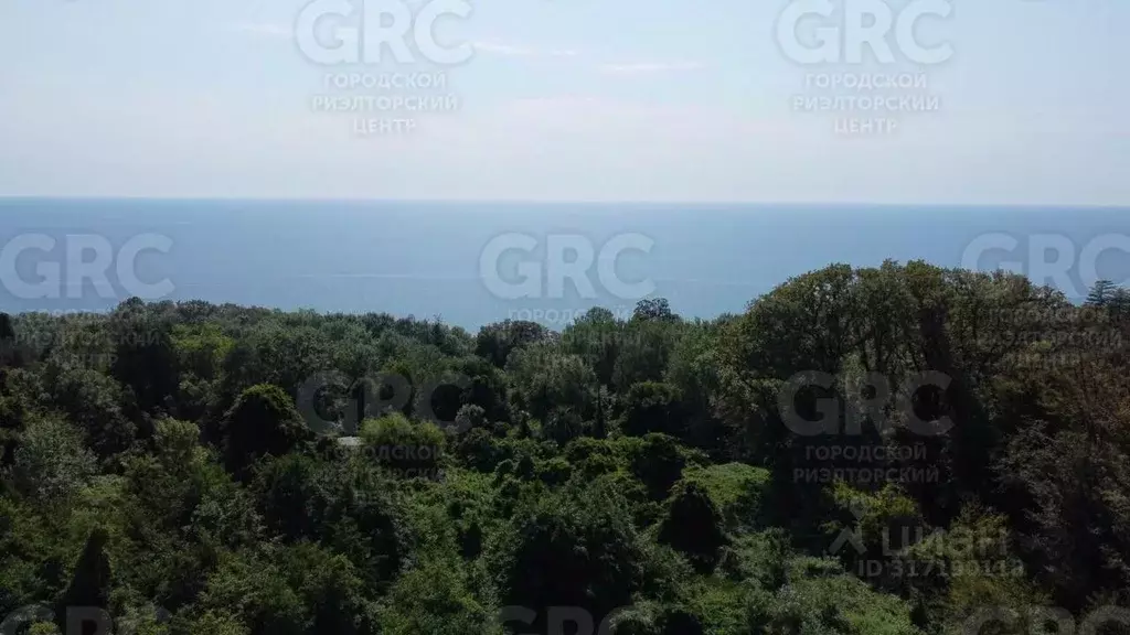 Участок в Краснодарский край, Сочи Труд СТ, 60 (12.0 сот.) - Фото 0