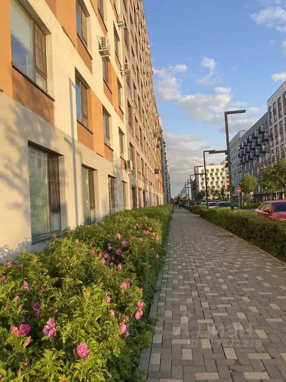 1-к кв. Московская область, Ленинский городской округ, д. Сапроново ... - Фото 0
