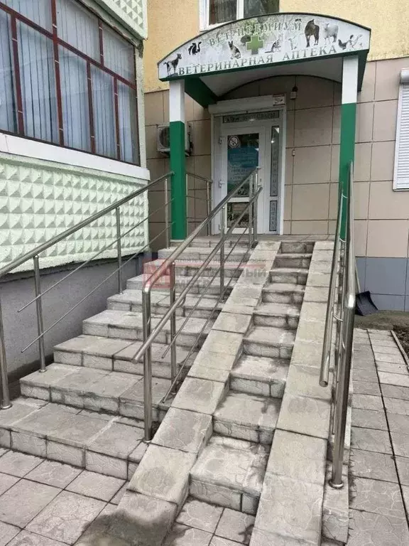 Торговая площадь в Белгородская область, Старый Оскол Макаренко мкр, ... - Фото 1