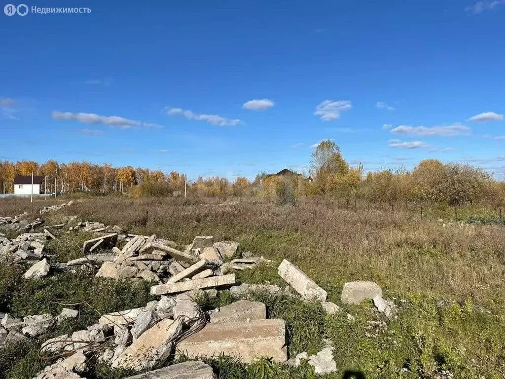 Участок в Криводановский сельсовет, СНТ Рябинка (9 м) - Фото 2