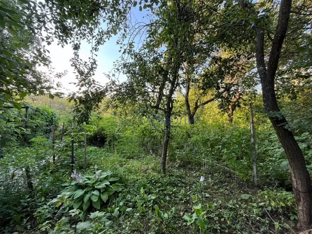 Участок в Нижегородская область, Нижний Новгород СНТ Расцвет - ... - Фото 1