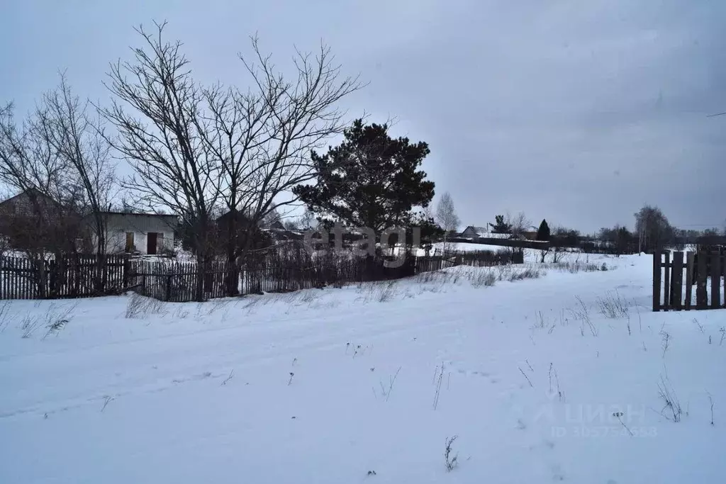 Участок в Алтайский край, Бийск городской округ, с. Фоминское ул. ... - Фото 1