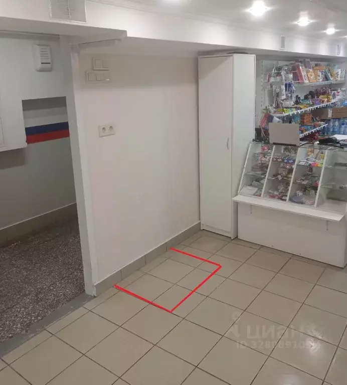 Торговая площадь в Алтайский край, Барнаул Молодежная ул., 20 (1 м) - Фото 2