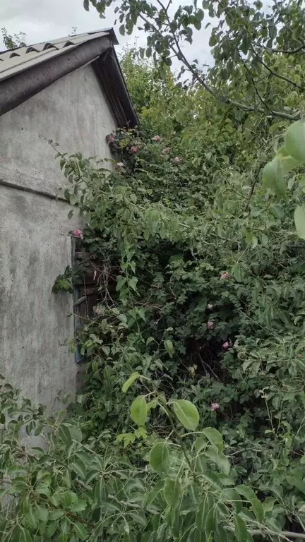 дом в волгоградская область, волгоград дзержинец снт, винновский . - Фото 1