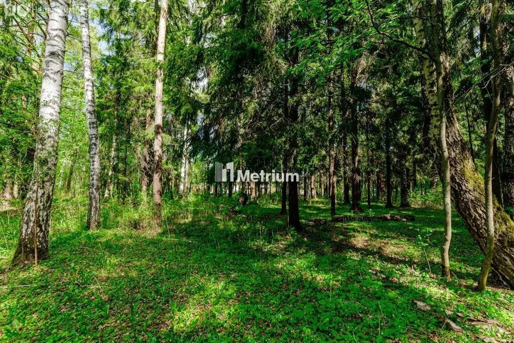 Участок в Московская область, Одинцовский городской округ, микрорайон ... - Фото 1