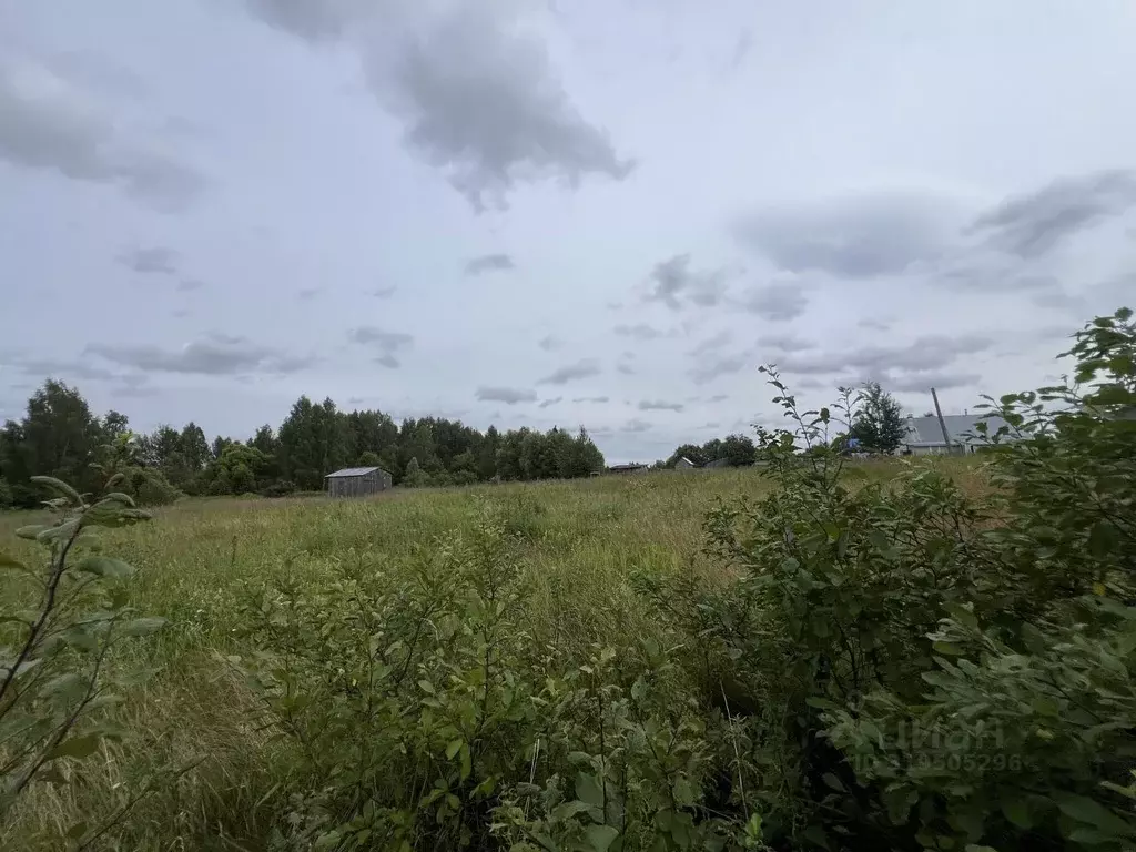 Участок в Владимирская область, Судогодский район, д. Михалево ... - Фото 0