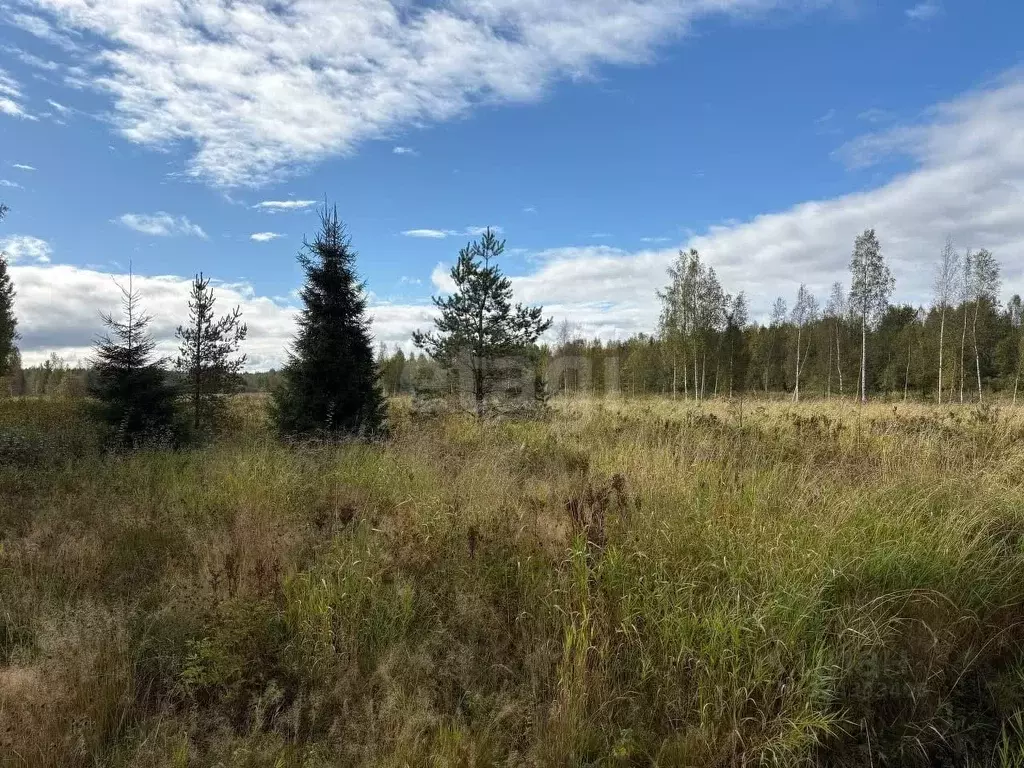 Участок в Ленинградская область, Всеволожский район, Куйвозовское ... - Фото 2