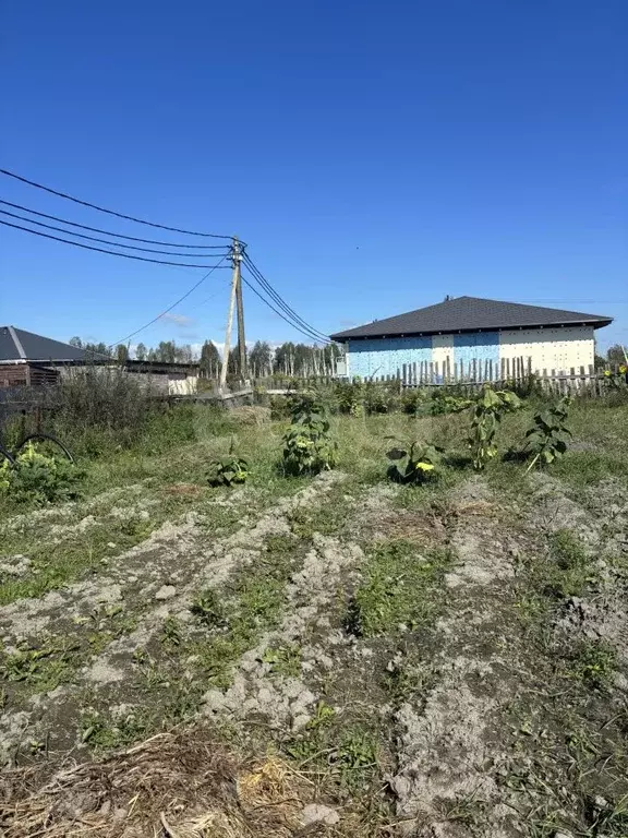 Участок в Тюменская область, Тюмень Якорь СНТ, ул. Радуга, 524 (8.0 ... - Фото 1