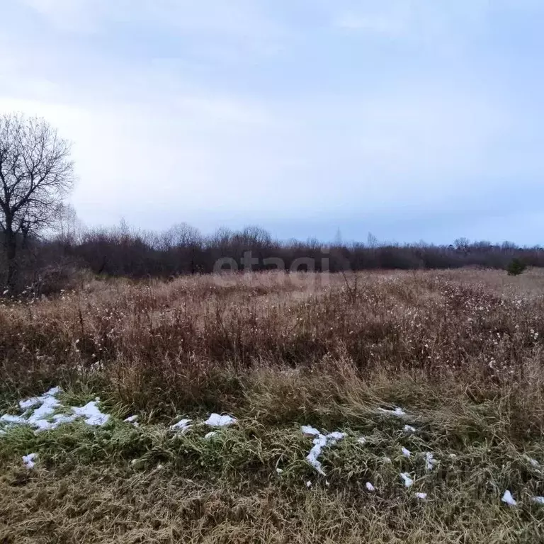 Участок в Свердловская область, Слободо-Туринский район, ... - Фото 1