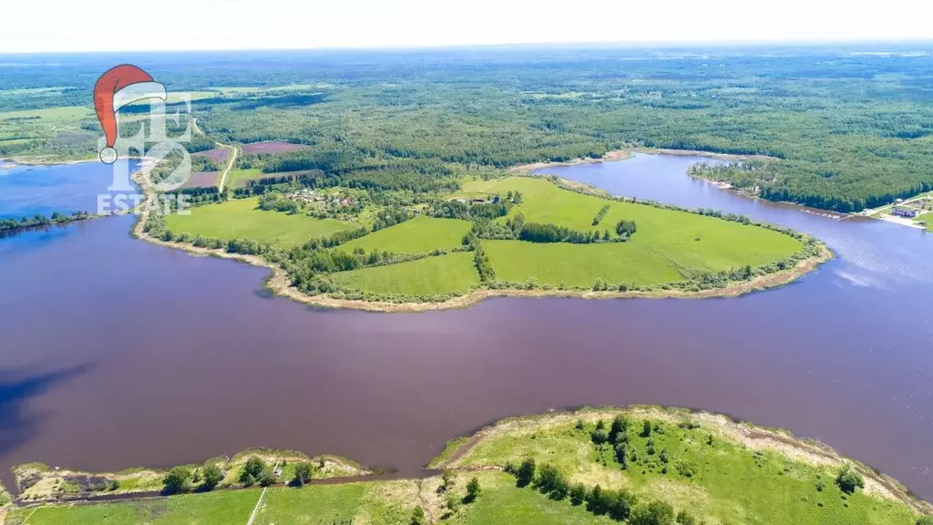 Участок в Ярославская область, Угличский муниципальный округ, д. ... - Фото 2