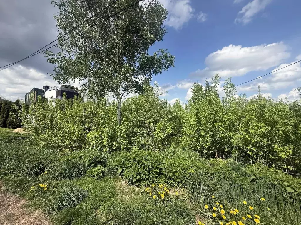 Участок в Московская область, Подольск городской округ, д. Услонь ул. ... - Фото 1