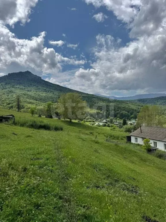 Участок в Алтайский край, Солонешенский район, с. Топольное Больничная ... - Фото 1