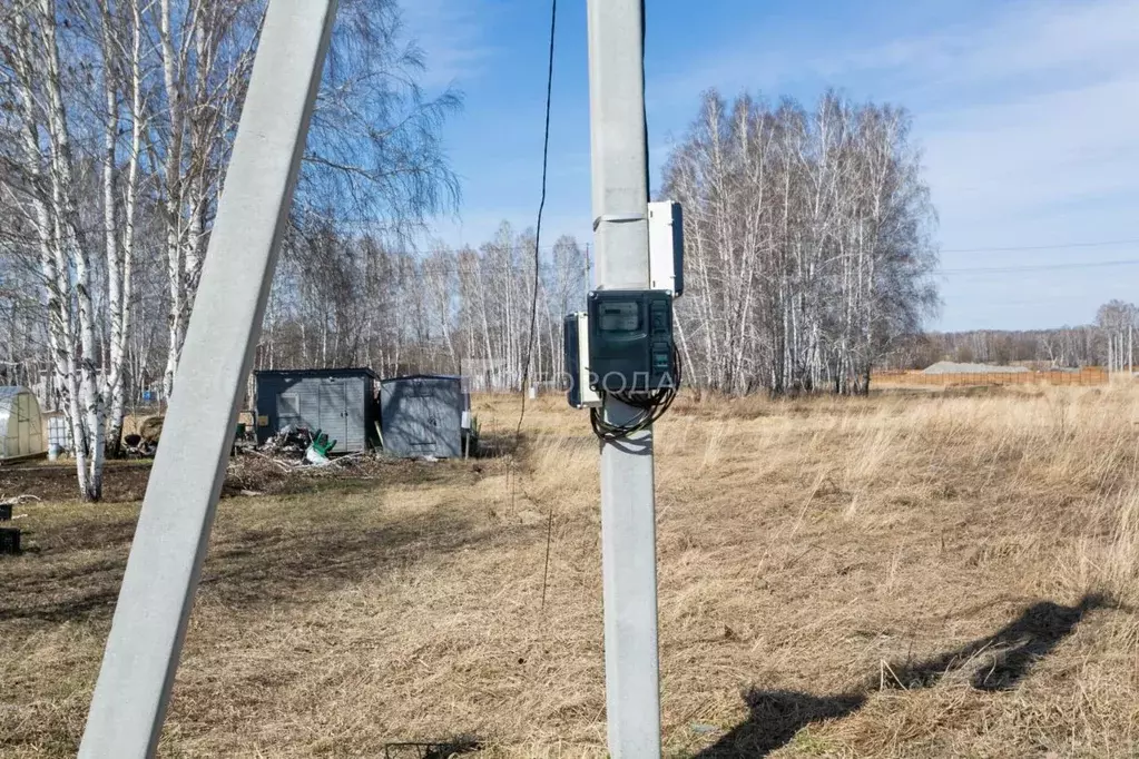 Участок в Новосибирская область, Новосибирский район, Сибирские ... - Фото 1