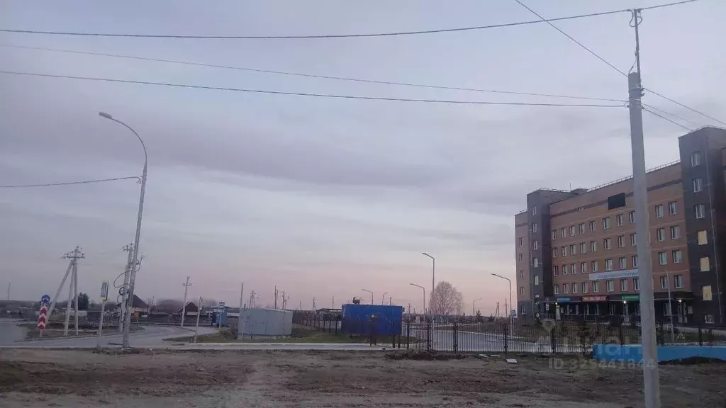 Участок в Новосибирская область, Новосибирский район, с. Криводановка  ... - Фото 2