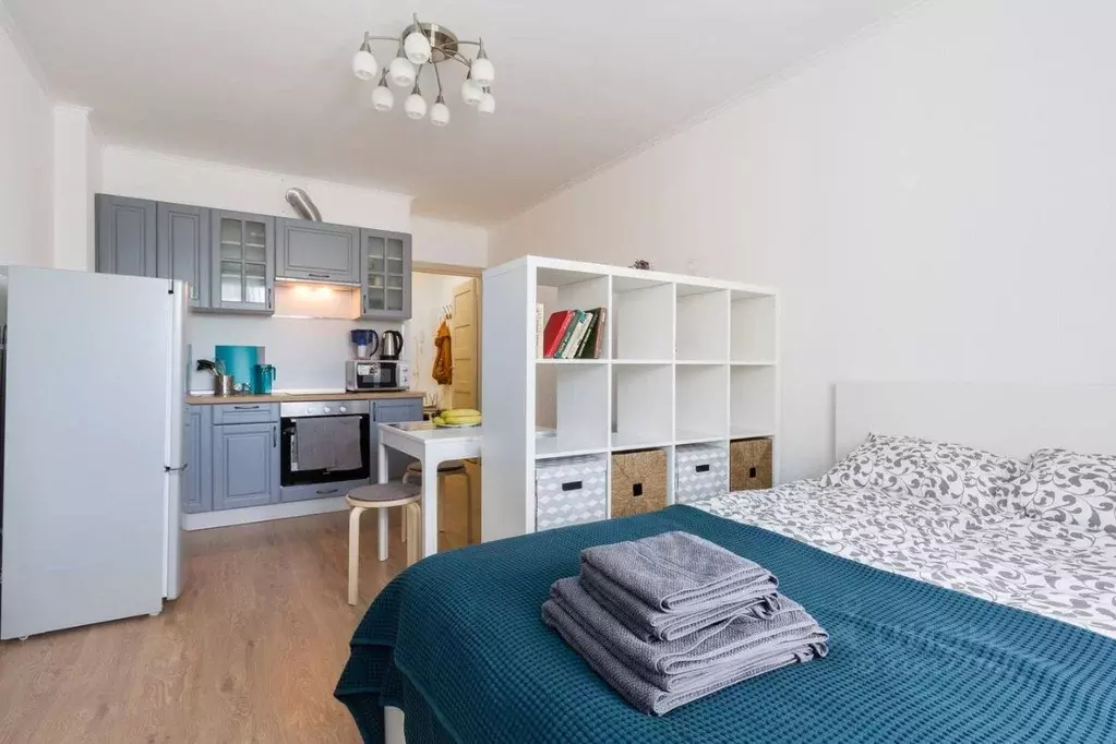 Студия Санкт-Петербург просп. Энергетиков, 11к2 (25.0 м) - Фото 0