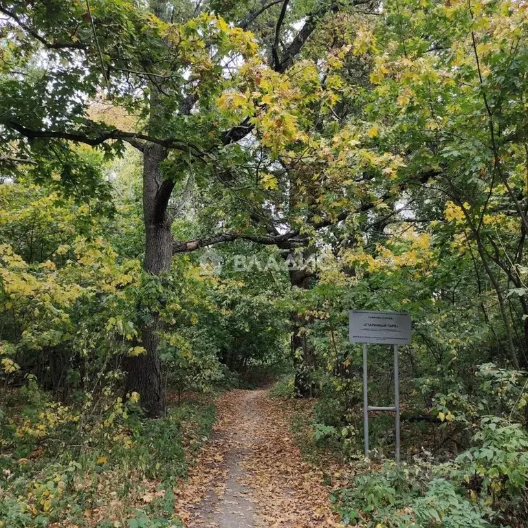 Дом в Воронежская область, Рамонский район, Айдаровское с/пос, с. ... - Фото 1