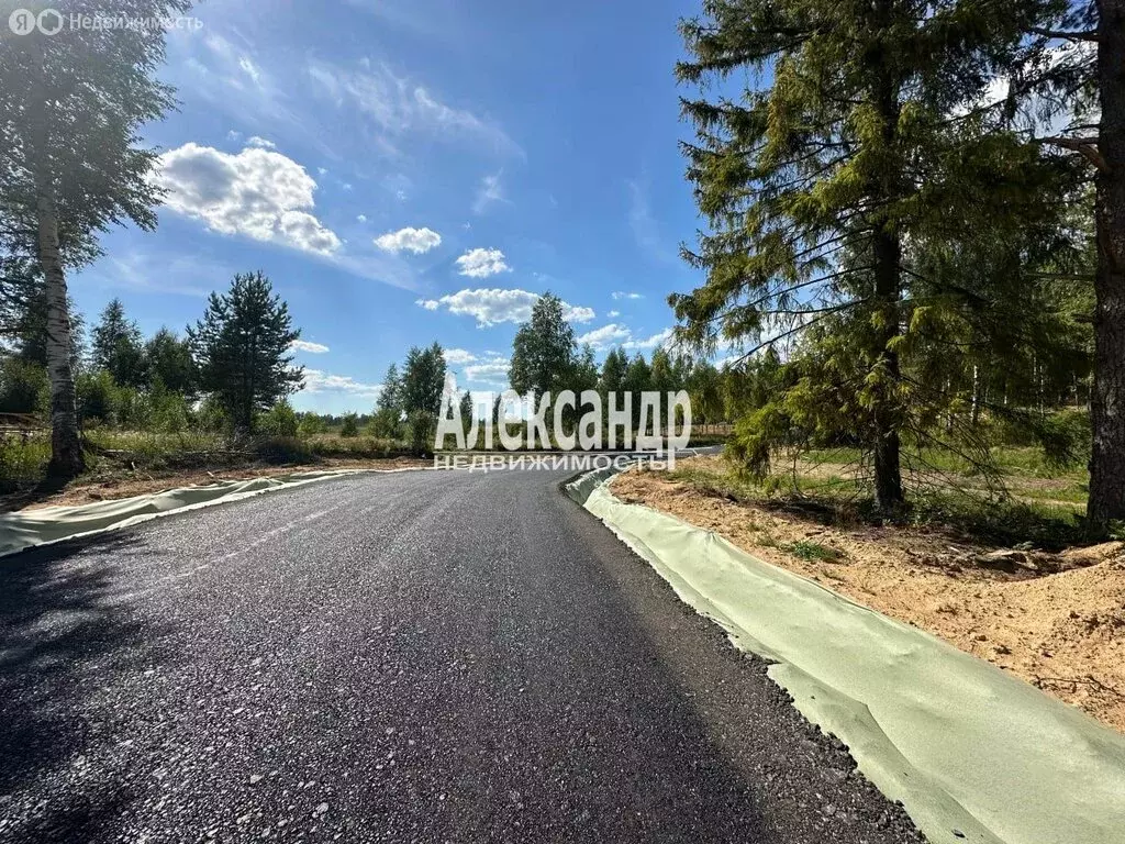 Участок в Куйвозовское сельское поселение, КП Белкино-3 (9.1 м) - Фото 2