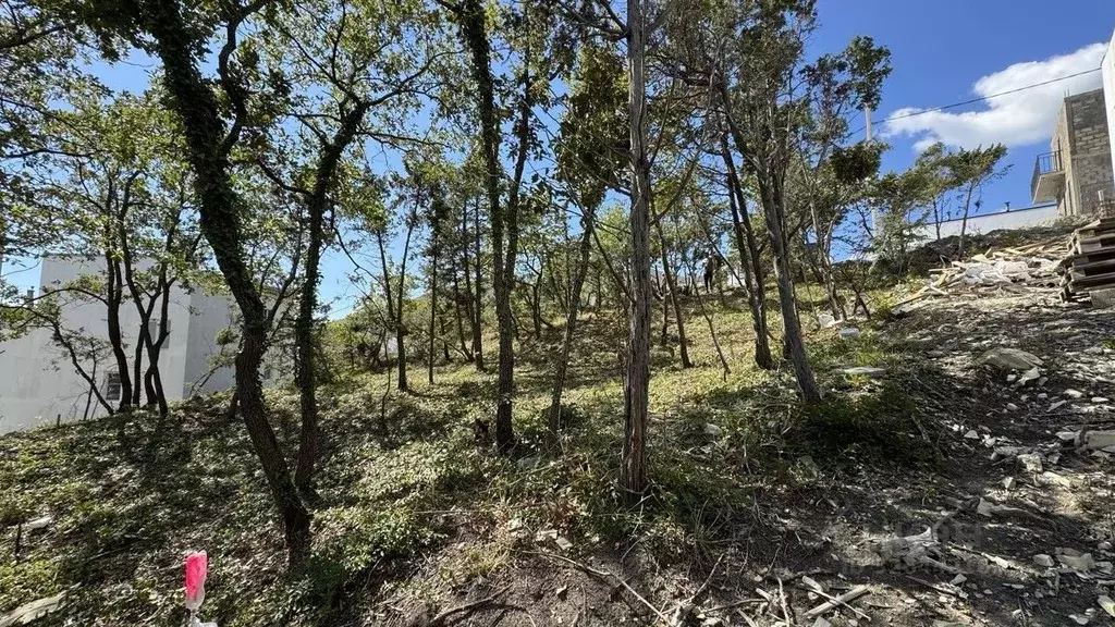 Участок в Краснодарский край, Новороссийск городской округ, с. Мысхако ... - Фото 2