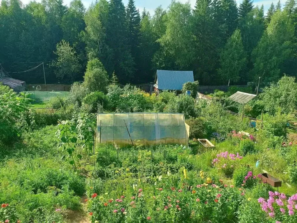 Дом в Пермский край, Пермь Гаревая ул., 26 (44 м) - Фото 1