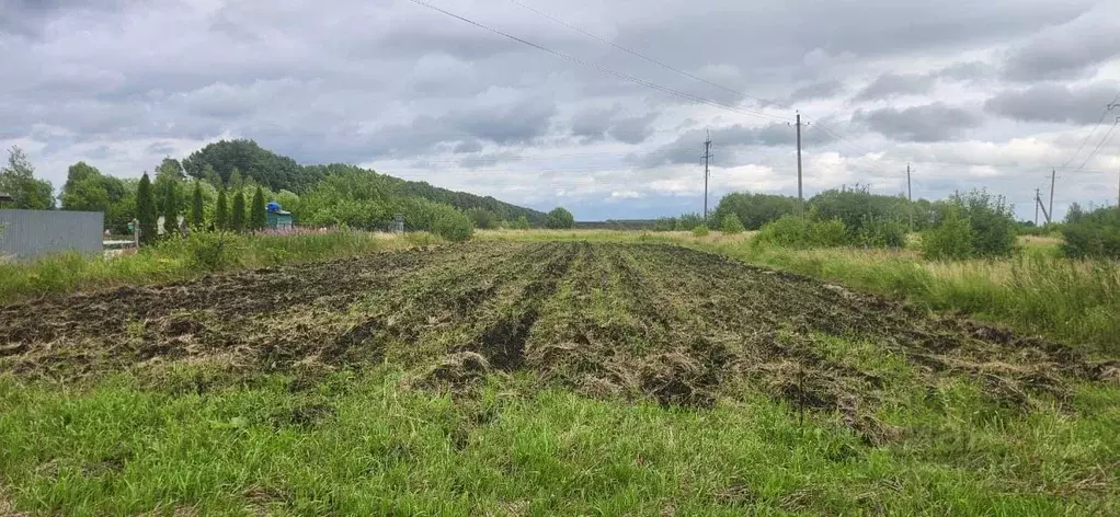 Участок в Рязанская область, Рыбновский район, с. Алешня  (36.0 сот.) - Фото 1
