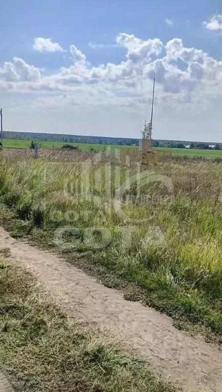 Участок в Воронежская область, с. Новая Усмань ул. Генерала Ватутина, ... - Фото 1