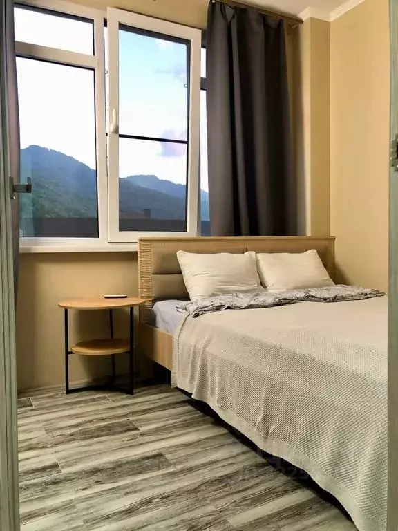 1-к кв. Краснодарский край, Сочи Красная Поляна пгт, ул. ГЭС, 5 (30.0 ... - Фото 1