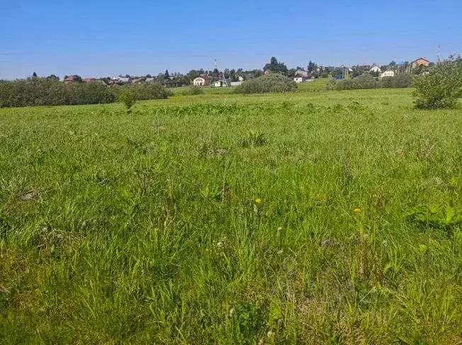 Участок в Московская область, Рузский муниципальный округ, д. Орешки  ... - Фото 1