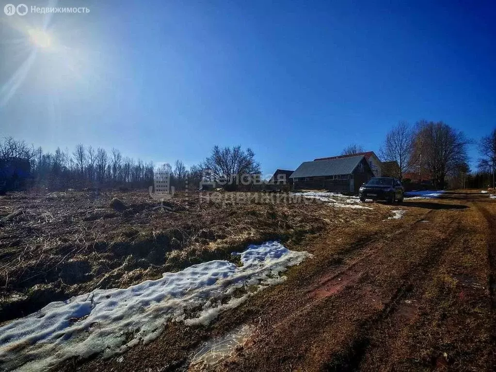 Участок в Новгородская область, Крестецкий муниципальный округ, ... - Фото 2