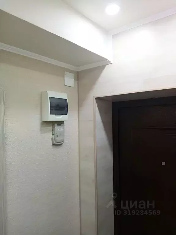 1-к кв. Новосибирская область, Новосибирск ул. Ползунова, 25 (31.6 м) - Фото 0