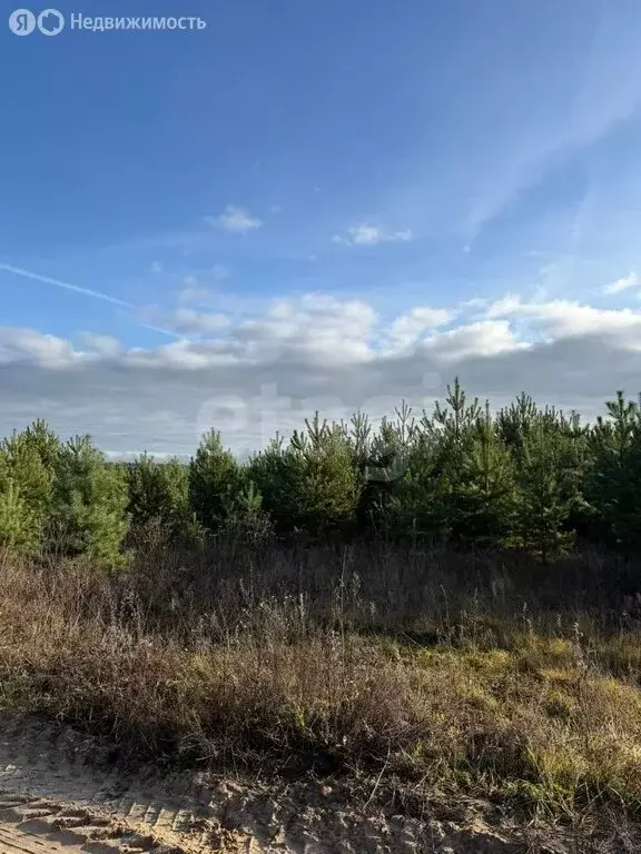 Участок в муниципальное образование Новосельское, деревня Черноситово ... - Фото 1