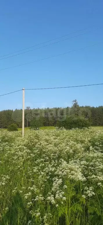 Участок 10 сот. (ИЖС) - Фото 0
