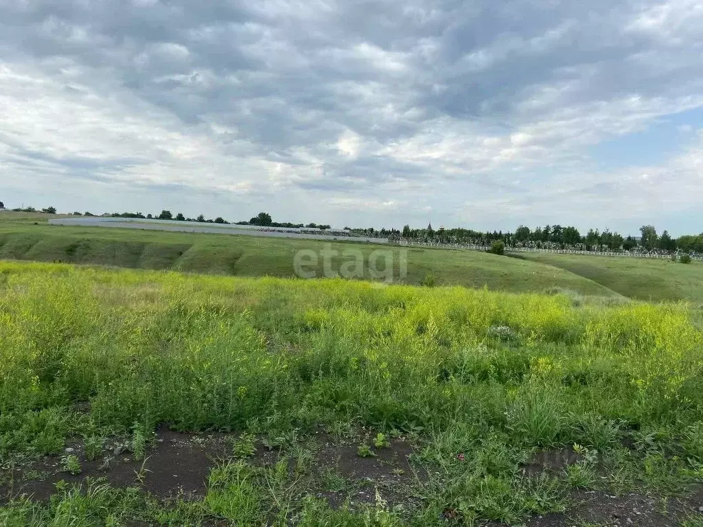 Участок в Белгородская область, Губкин пер. Рождественский (19.8 сот.) - Фото 0