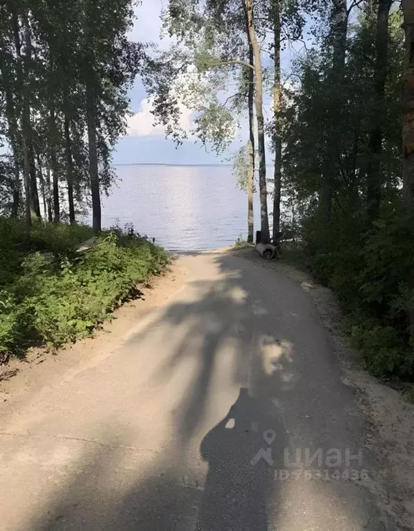 Участок в Нижегородская область, Воскресенский муниципальный округ, д. ... - Фото 1