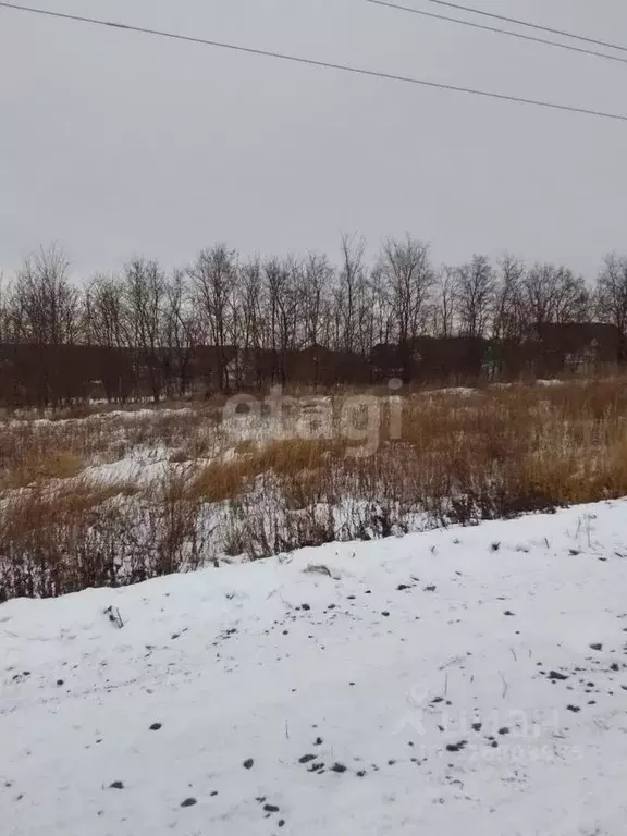 Участок в Белгородская область, Новый Оскол ул. Виноградная, 15 (15.0 ... - Фото 1