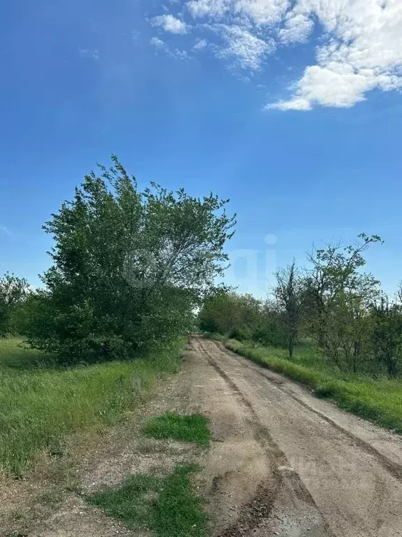 Участок в Ростовская область, Октябрьский район, Бессергеневское ... - Фото 1