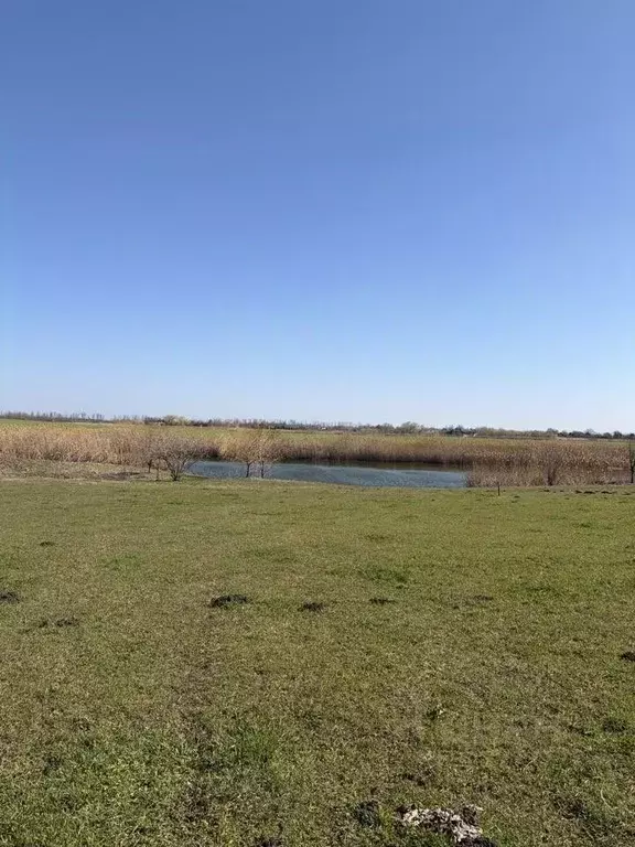 Участок в Краснодарский край, Тимашевский район, Медведовское с/пос, ... - Фото 2