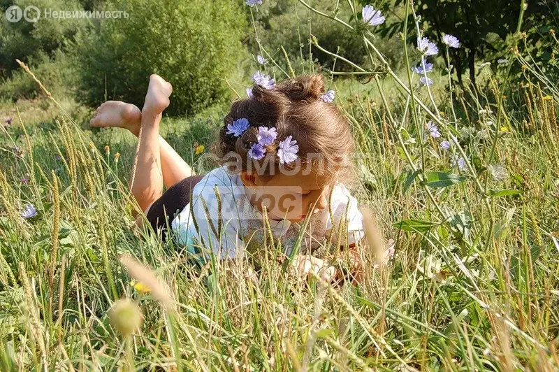 Участок в село Люк, Красная улица (20 м) - Фото 0